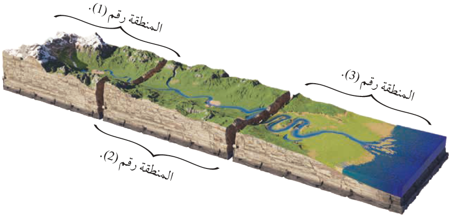 العلوم الحياتية الحادي عشر العلمي